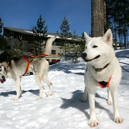 Kalevala Hotel Kuhmo