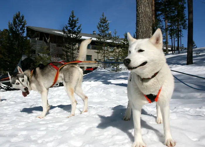 Kalevala 호텔 쿠후모
